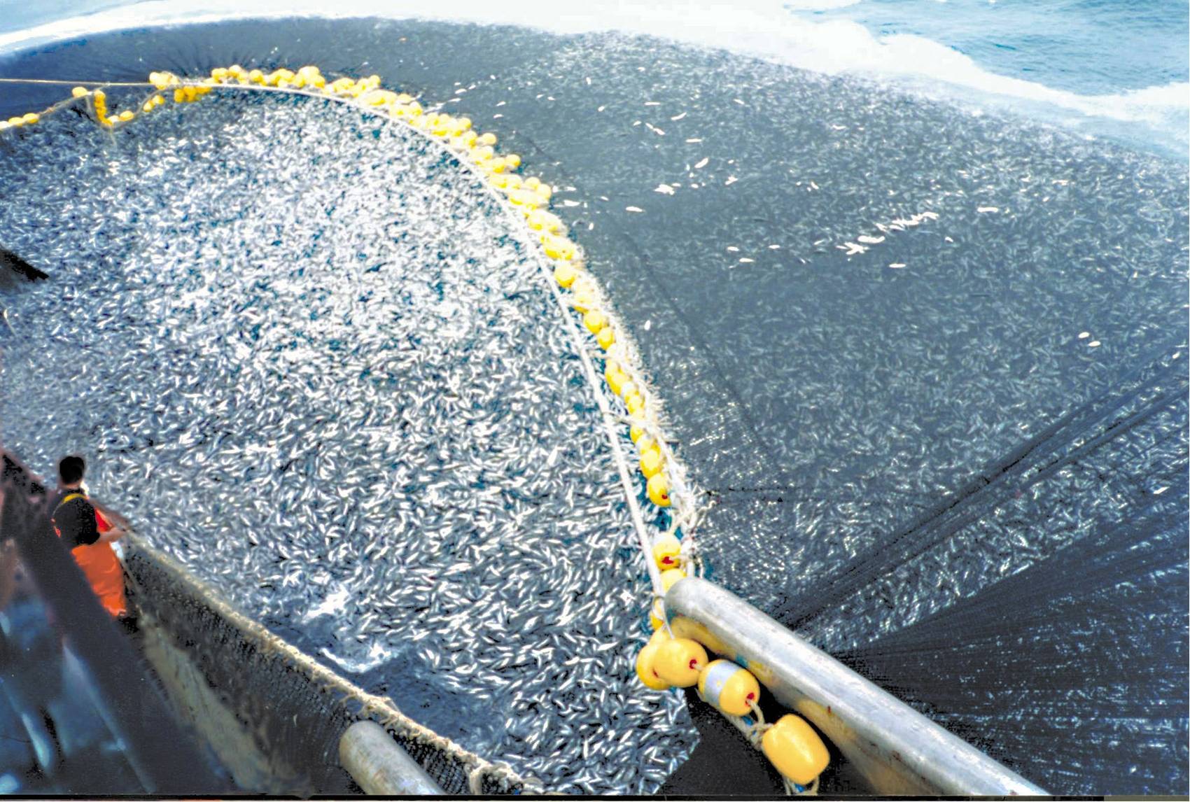 https://mx.horasis.org/wp-content/uploads/2022/07/me-at-desk.jpg